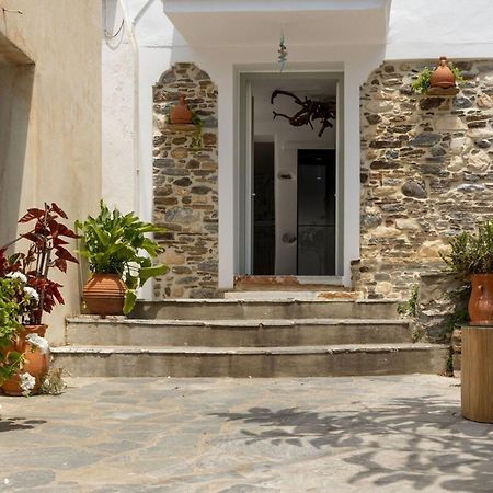 My Grandma'S Home Naxos Dhamarionas Kültér fotó